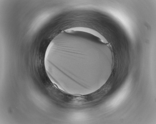 X0000115330382200911301532