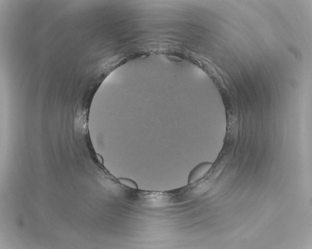 X0000115330383200911301532