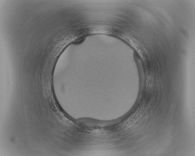 X0000115330385200911301532