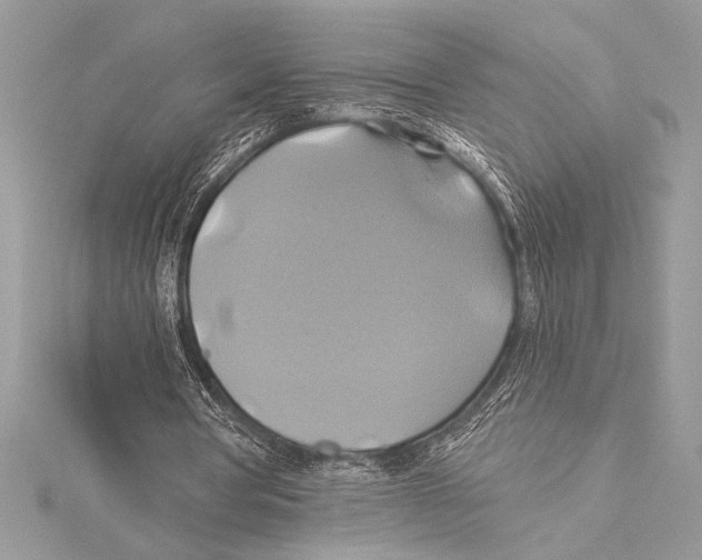 X0000115330386200911301532