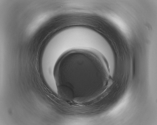 X0000115330387200911301532