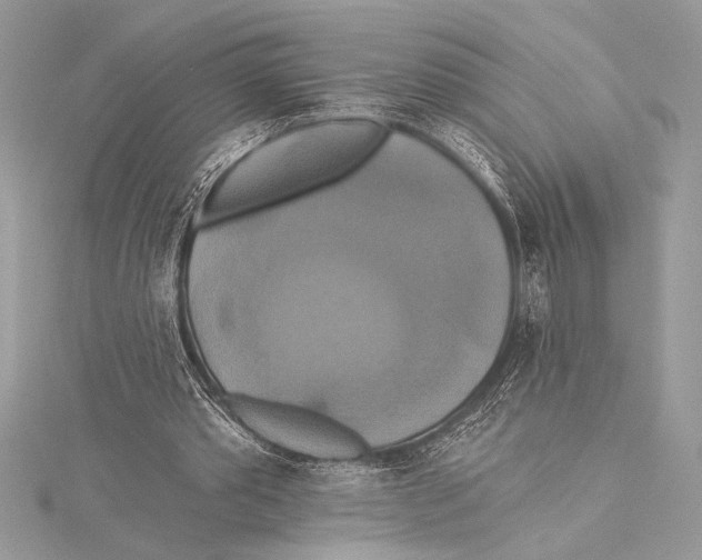 X0000115330389200911301531