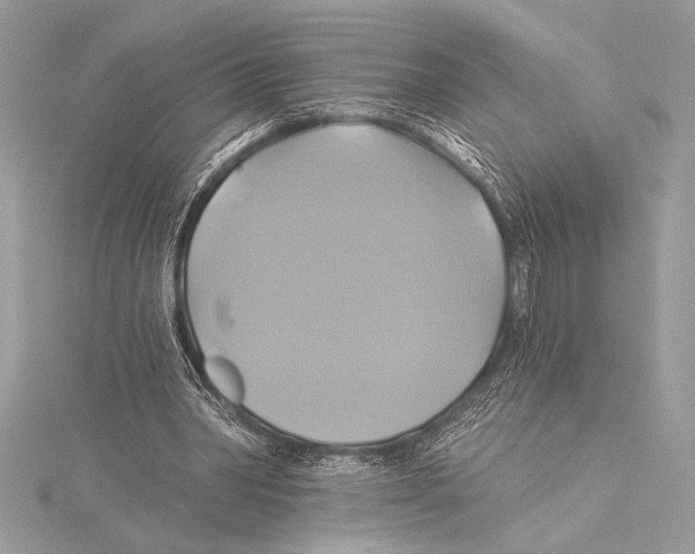 X0000115330390200911301531