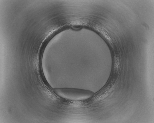 X0000115330391200911301531