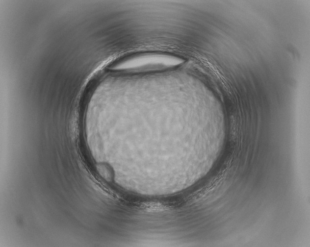 X0000115330392200911301531