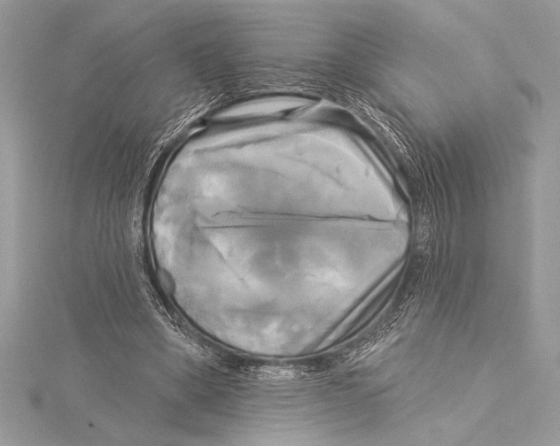 X0000115330394200911301531