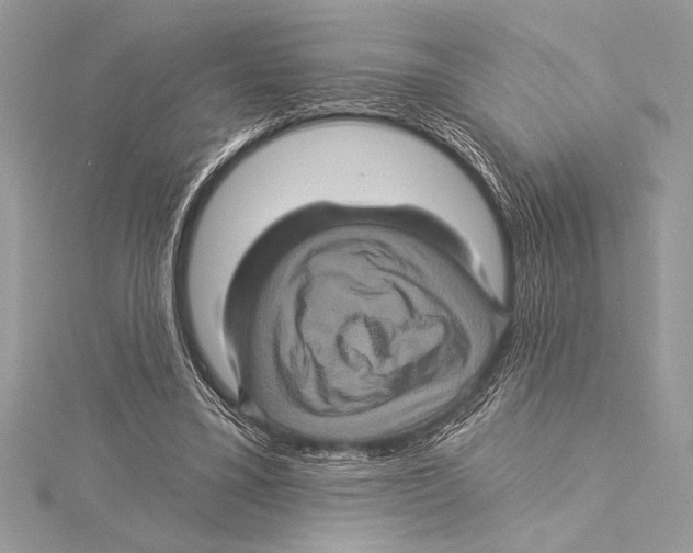 X0000115330395200911301531