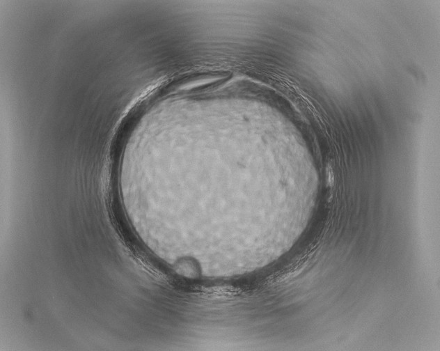 X0000115330396200911301531