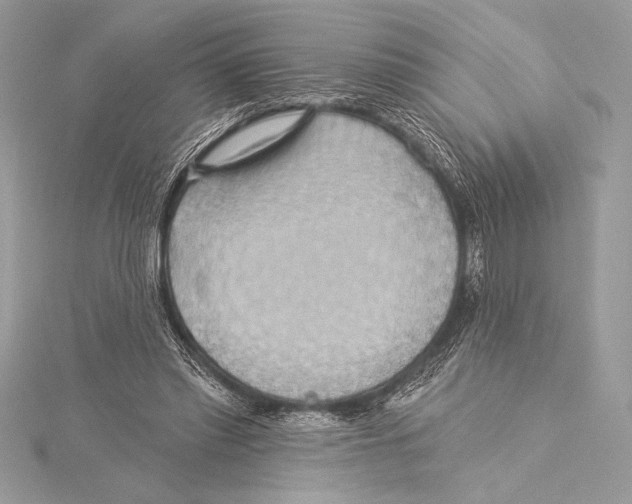 X0000115330397200911301531