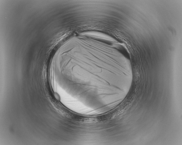 X0000115330398200911301531