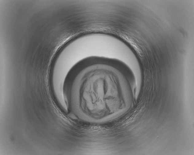 X0000115330399200911301531