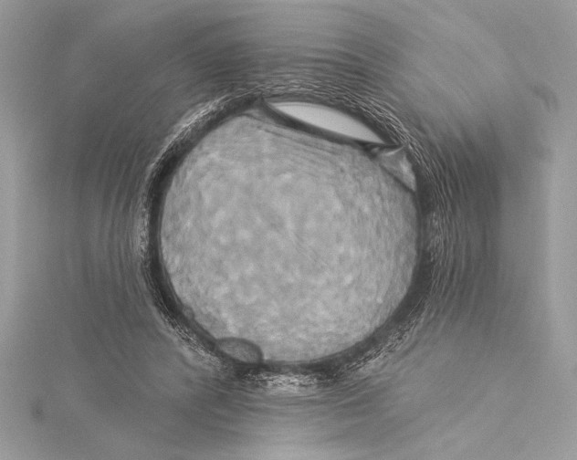 X0000115330400200911301531