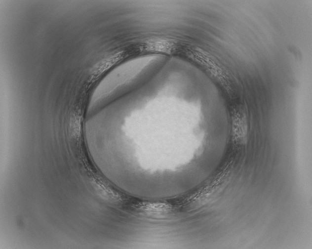 X0000115330401200911301531