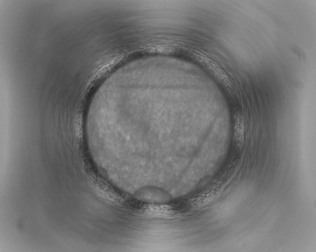 X0000115330403200911301531