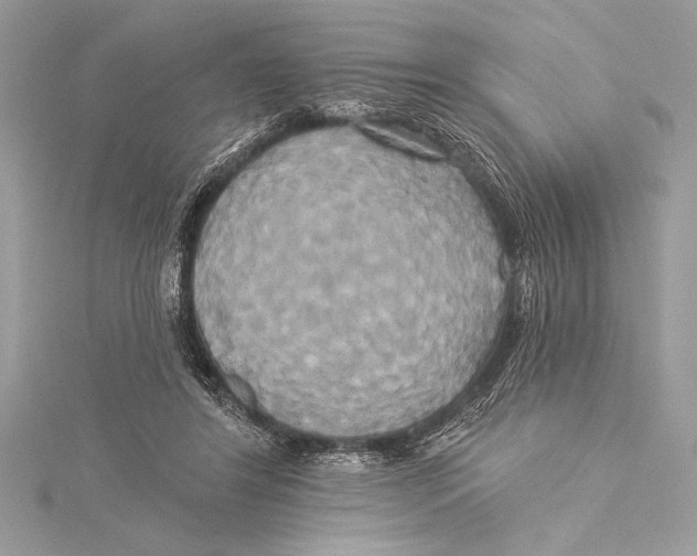 X0000115330404200911301531