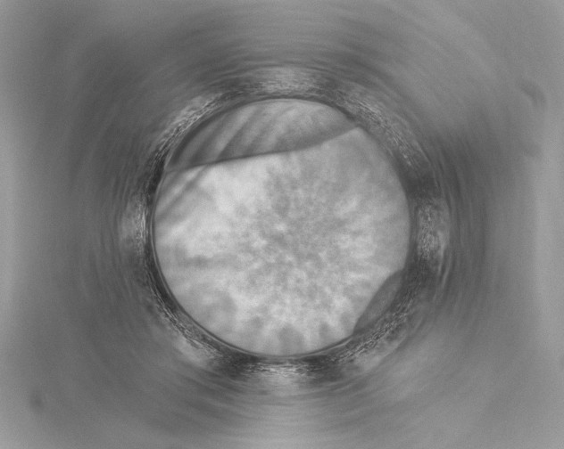 X0000115330405200911301531