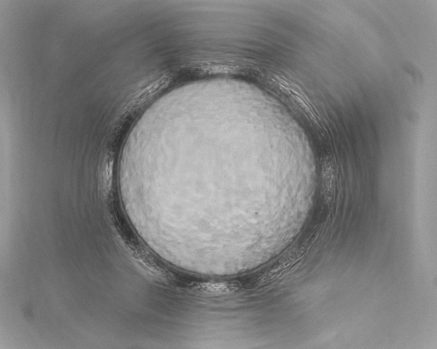 X0000115330406200911301531