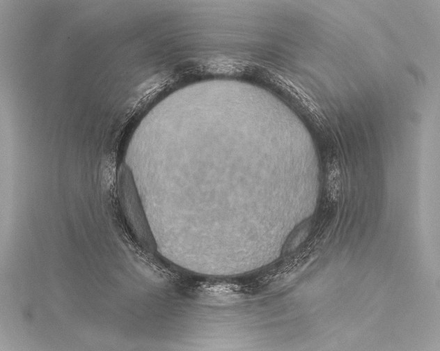 X0000115330407200911301531