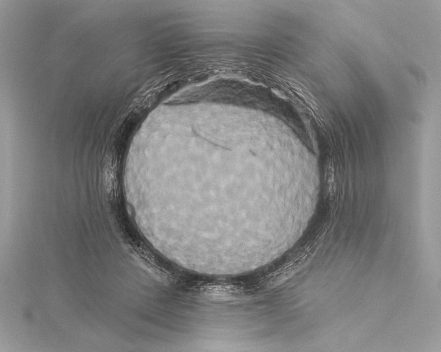 X0000115330408200911301531