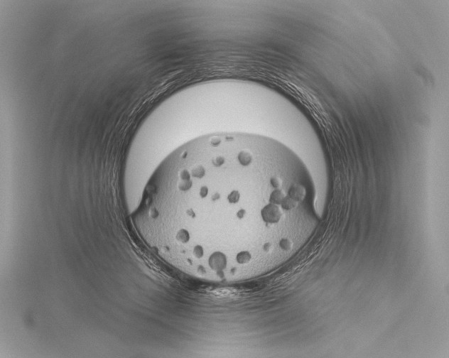 X0000115330409200911301531