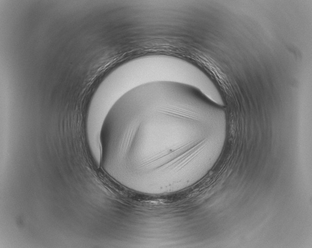 X0000115330411200911301531