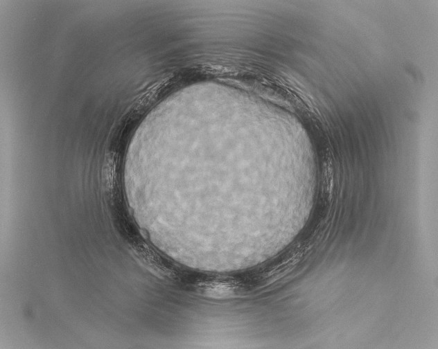 X0000115330412200911301531