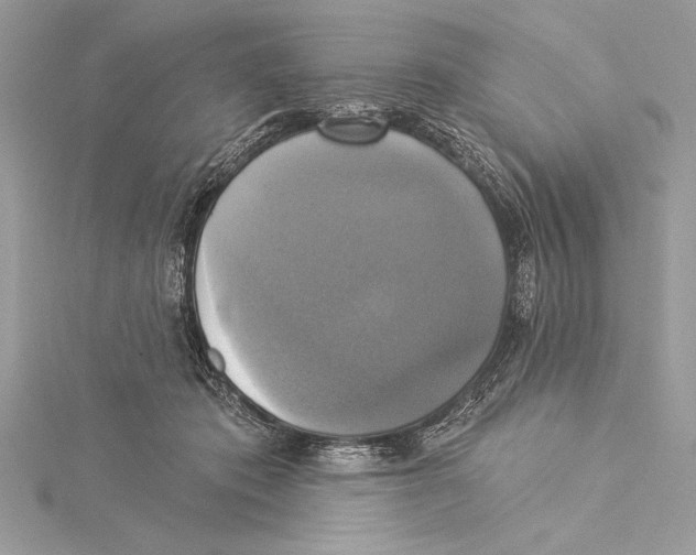 X0000115330413200911301531