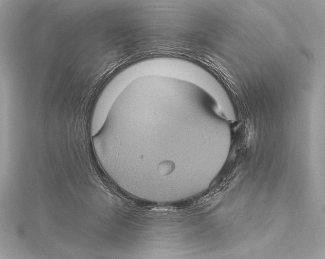 X0000115330415200911301531