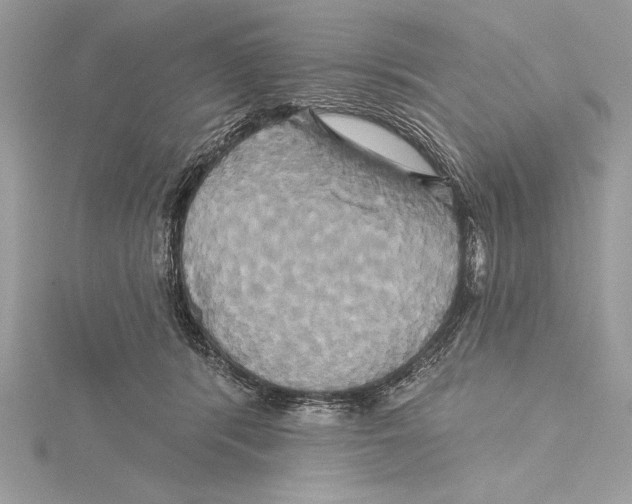 X0000115330416200911301531