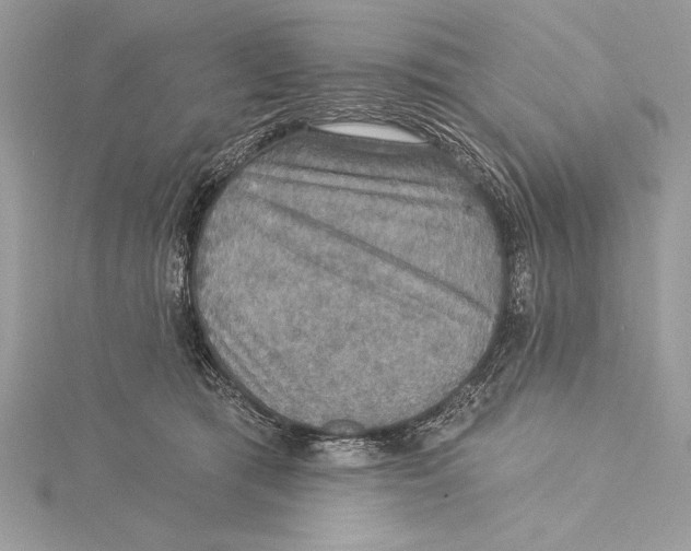 X0000115330417200911301531