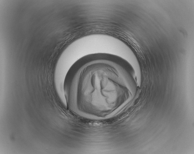 X0000115330419200911301531