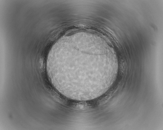 X0000115330420200911301531