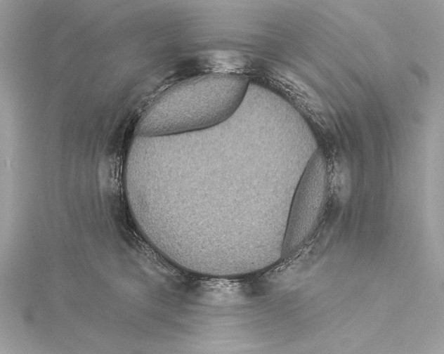 X0000115330421200911301531