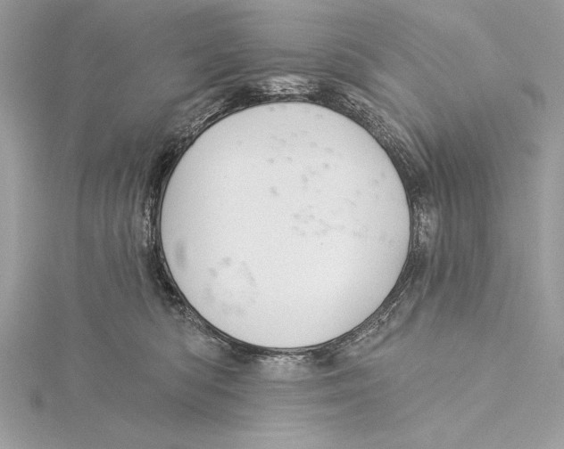 X0000115330422200911301531