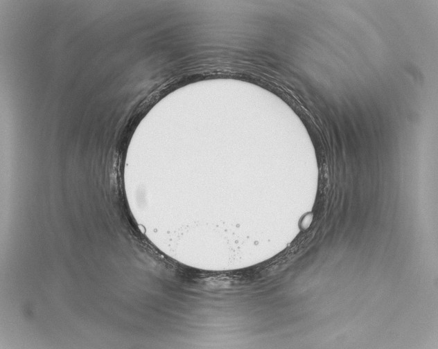 X0000115330423200911301531