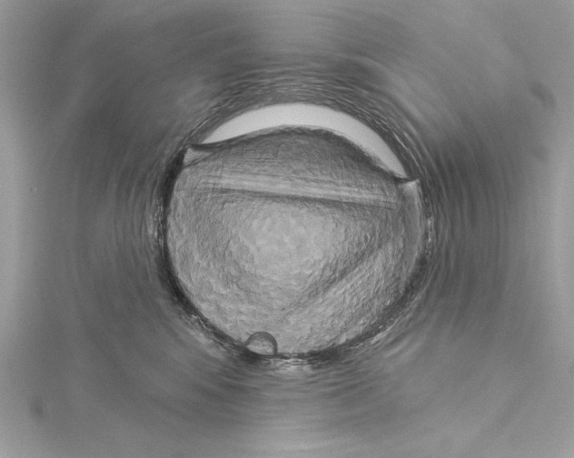 X0000115330424200911301531