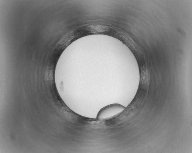 X0000115330426200911301531