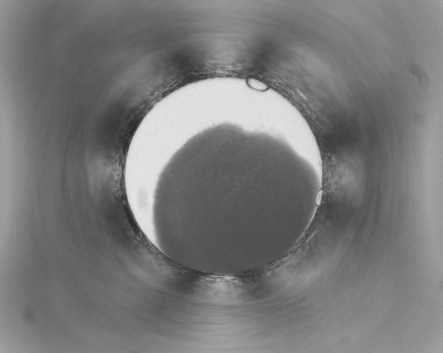 X0000115330427200911301531