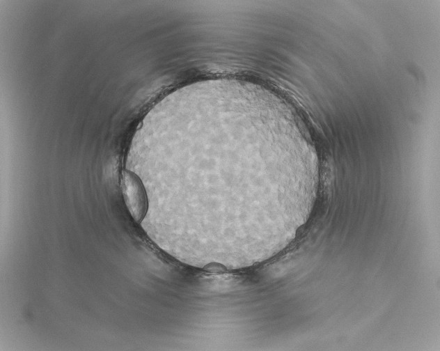 X0000115330428200911301531