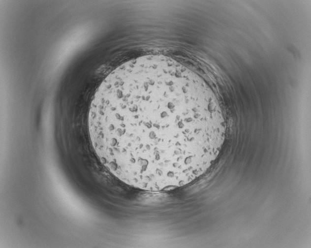 X0000115330429200911301531