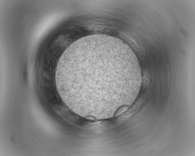 X0000115330430200911301531