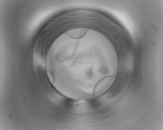 X0000115330431200911301531