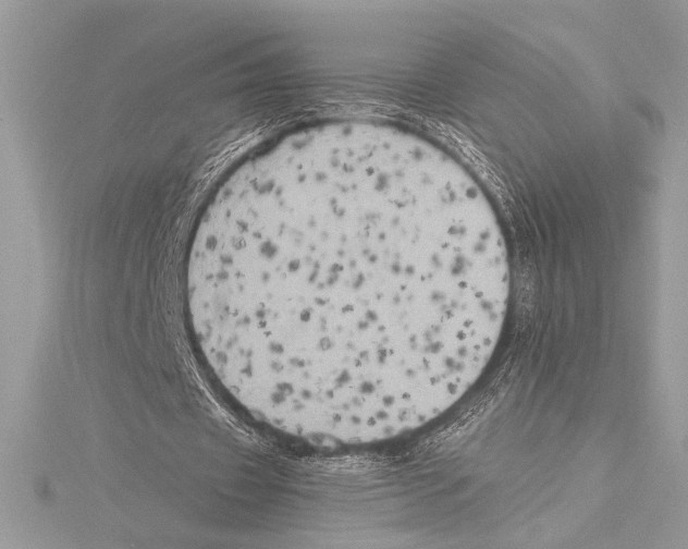 X0000115330433200911301530