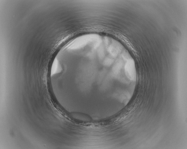 X0000115330434200911301530