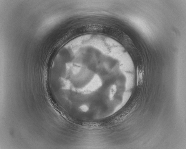 X0000115330435200911301530