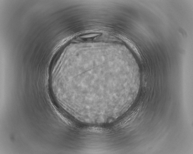 X0000115330437200911301530