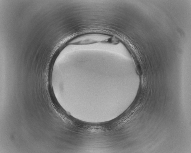 X0000115330438200911301530