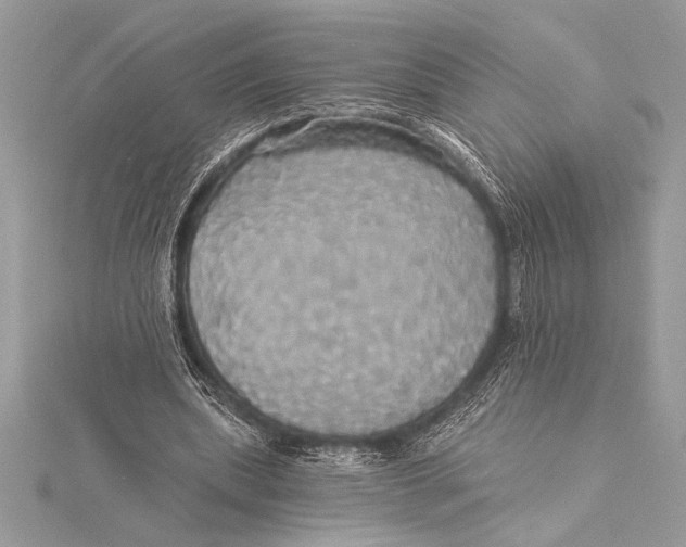 X0000115330439200911301530