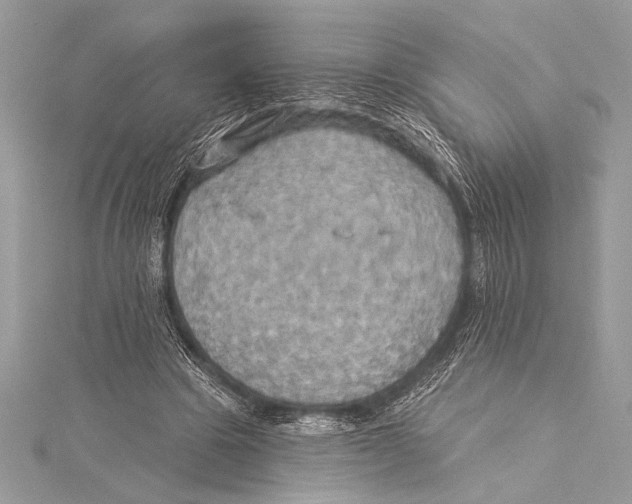 X0000115330441200911301530