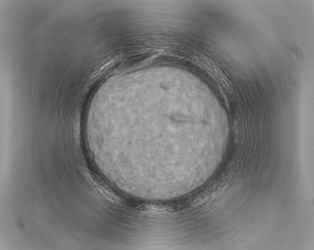 X0000115330442200911301530